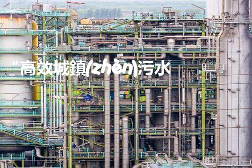 “高效城鎮(zhèn)污水處理流程，守護碧水藍天新篇章”